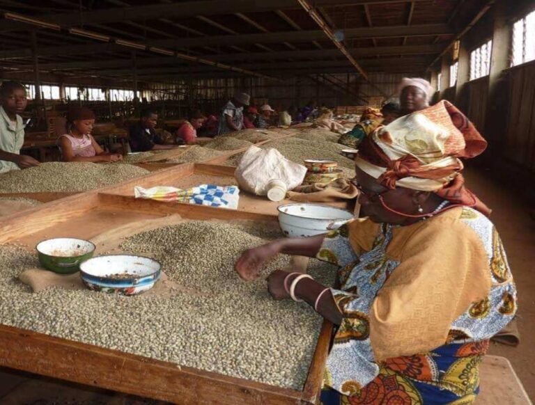 7978991b aee1 4b0e 8257 3b0633d9a823 Achille Massoma 768x582