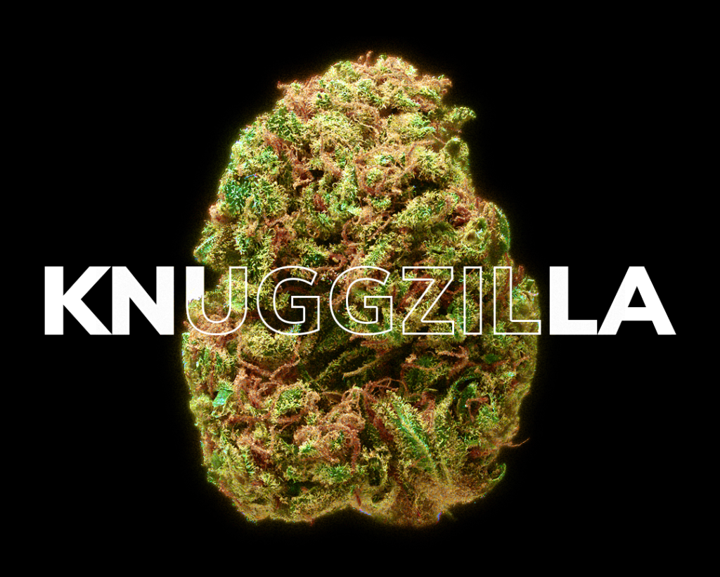 Knuggzilla
