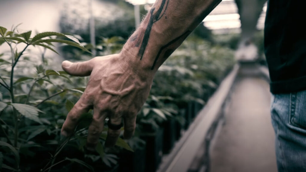 Santa Cruz Veterans Alliance - Photo is courtesy of Scary Plants