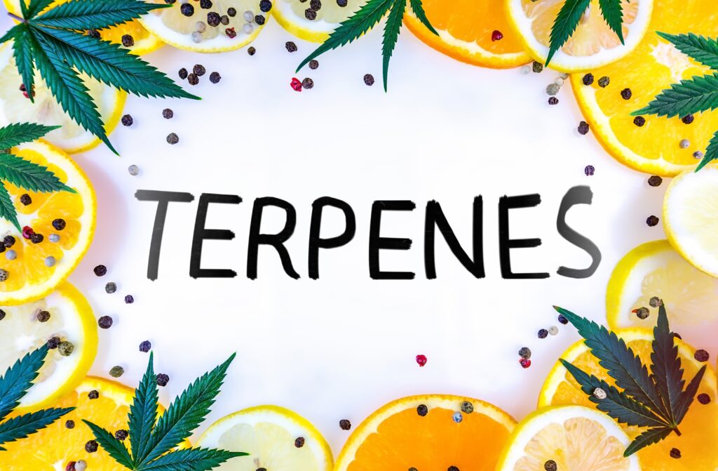 Cannabis terpene concept with leaves, lemons and oranges