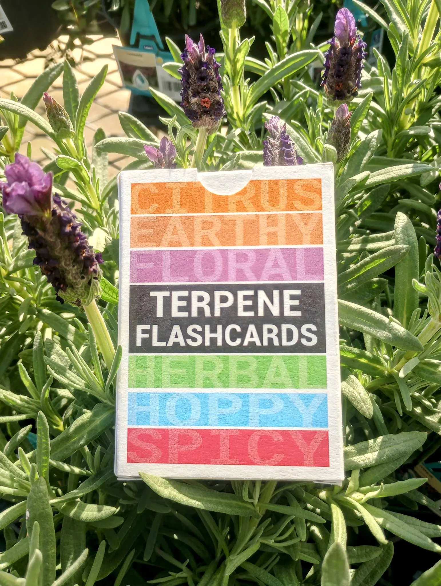 1000014214 Tony Bowles