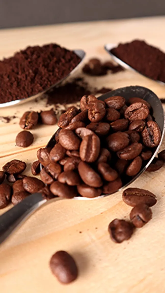 6c386373 0f78 4abb aac8 871ddf9afb4d Achille Massoma