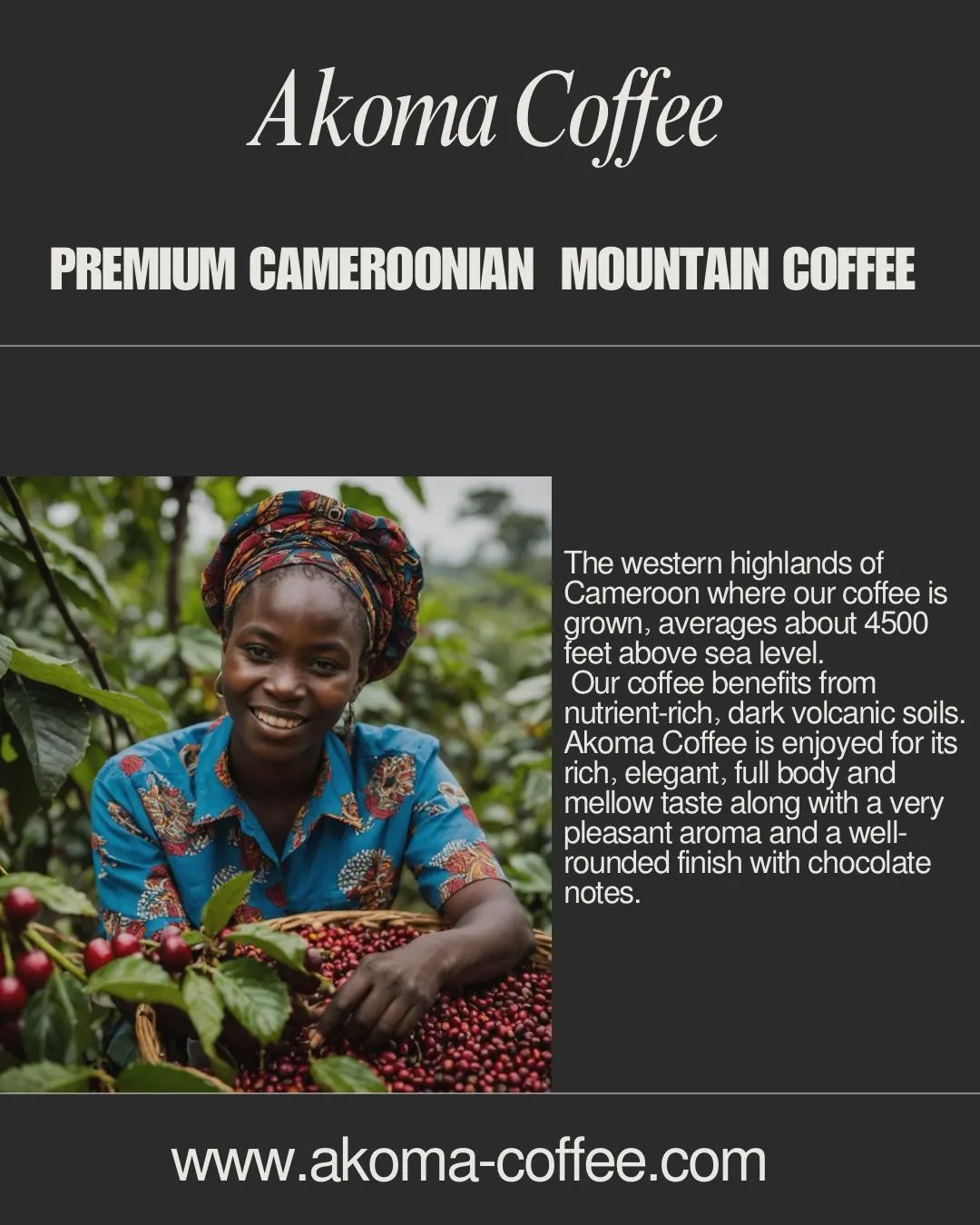 Akoma Green Beans Achille Massoma